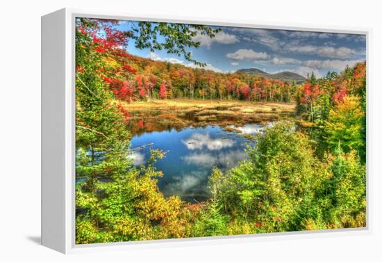 Adirondack Pond-Robert Goldwitz-Framed Premier Image Canvas