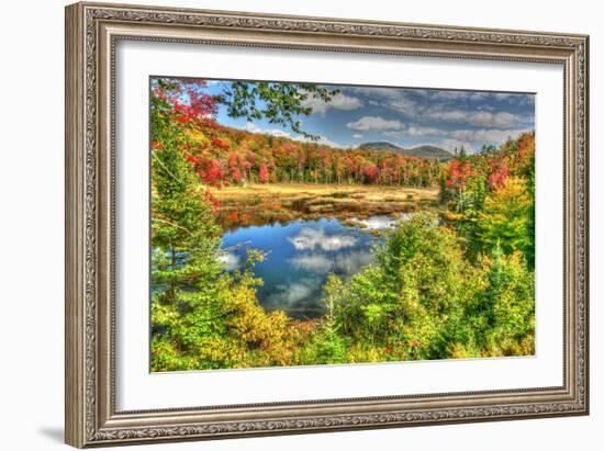 Adirondack Pond-Robert Goldwitz-Framed Photographic Print