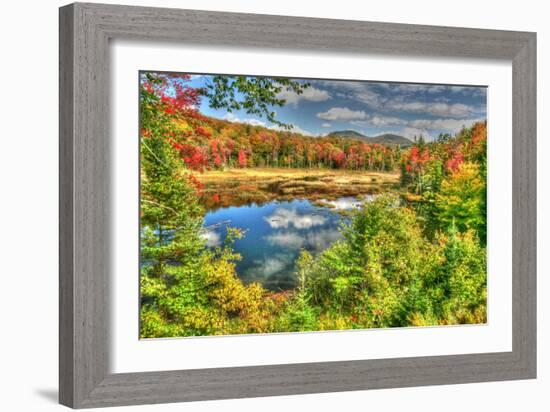 Adirondack Pond-Robert Goldwitz-Framed Photographic Print