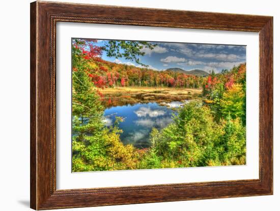 Adirondack Pond-Robert Goldwitz-Framed Photographic Print