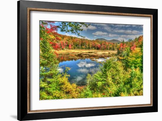 Adirondack Pond-Robert Goldwitz-Framed Photographic Print