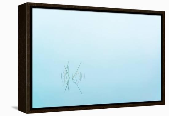 Adirondack Zen-Steven Maxx-Framed Premier Image Canvas