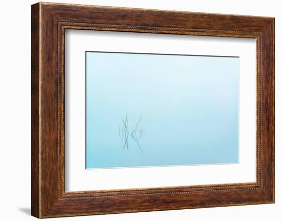 Adirondack Zen-Steven Maxx-Framed Photographic Print