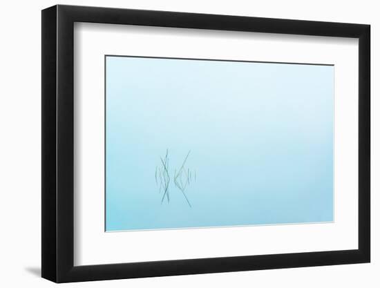 Adirondack Zen-Steven Maxx-Framed Photographic Print