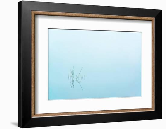 Adirondack Zen-Steven Maxx-Framed Photographic Print