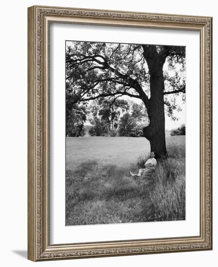 Adlai Stevenson, Illinois Governor and Prospective Democratic Presidential Candidate-Cornell Capa-Framed Photographic Print