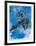 Adler, c.1972-Georg Baselitz-Framed Art Print