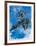 Adler, c.1972-Georg Baselitz-Framed Art Print