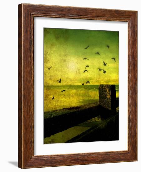 Adler-Cristina Carra Caso-Framed Photographic Print