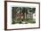 Administration Building, University of Oregon, Eugene-null-Framed Art Print