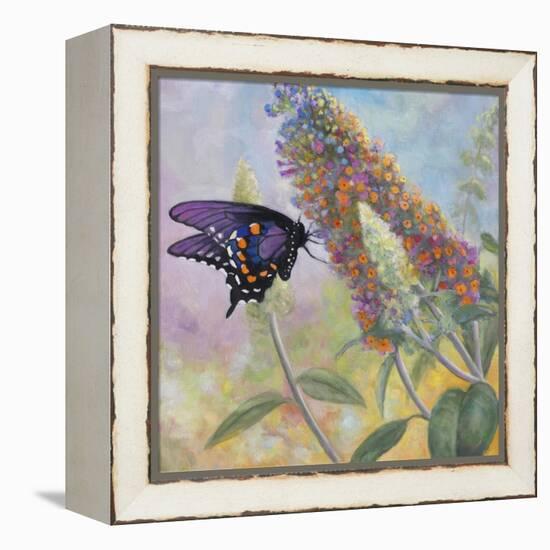 Admiral Butterfly-John Zaccheo-Framed Premier Image Canvas