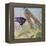 Admiral Butterfly-John Zaccheo-Framed Premier Image Canvas