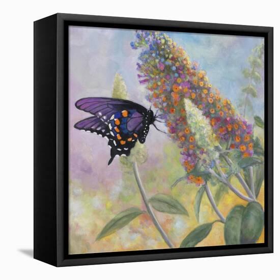 Admiral Butterfly-John Zaccheo-Framed Premier Image Canvas