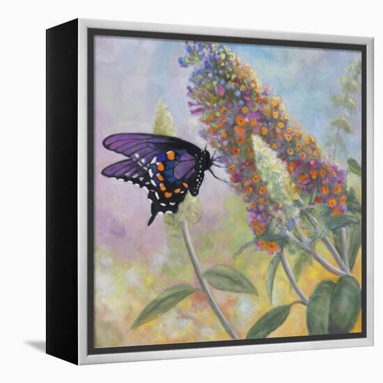 Admiral Butterfly-John Zaccheo-Framed Premier Image Canvas