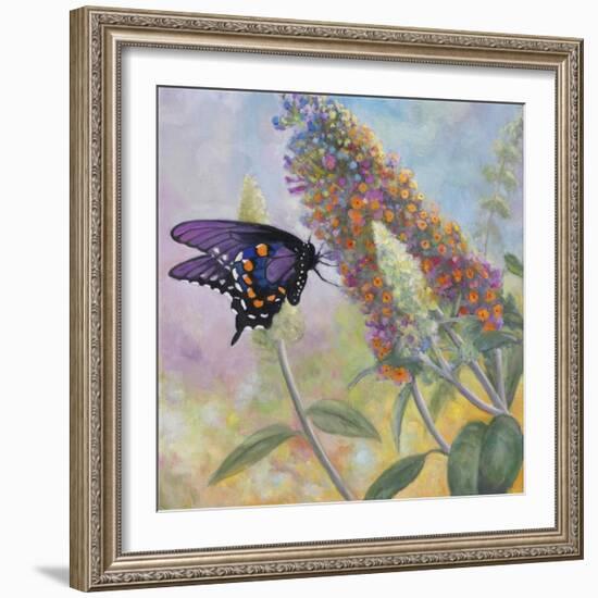 Admiral Butterfly-John Zaccheo-Framed Giclee Print