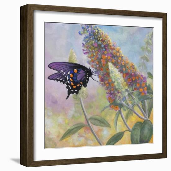 Admiral Butterfly-John Zaccheo-Framed Giclee Print