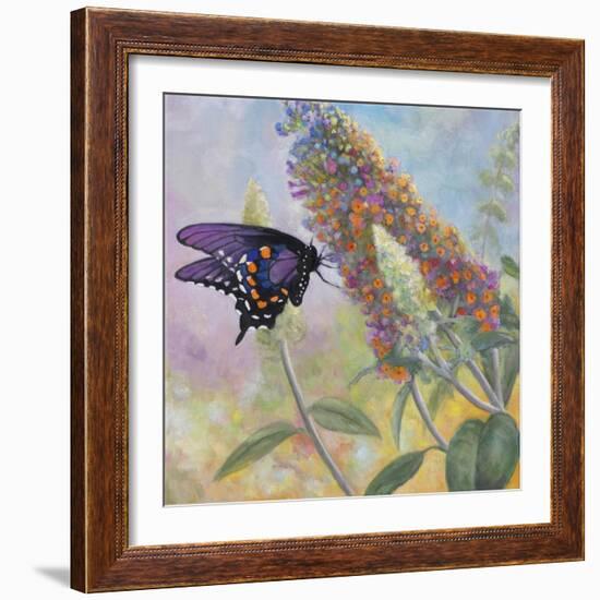 Admiral Butterfly-John Zaccheo-Framed Giclee Print