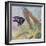 Admiral Butterfly-John Zaccheo-Framed Giclee Print