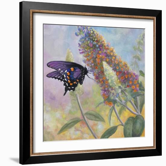 Admiral Butterfly-John Zaccheo-Framed Giclee Print