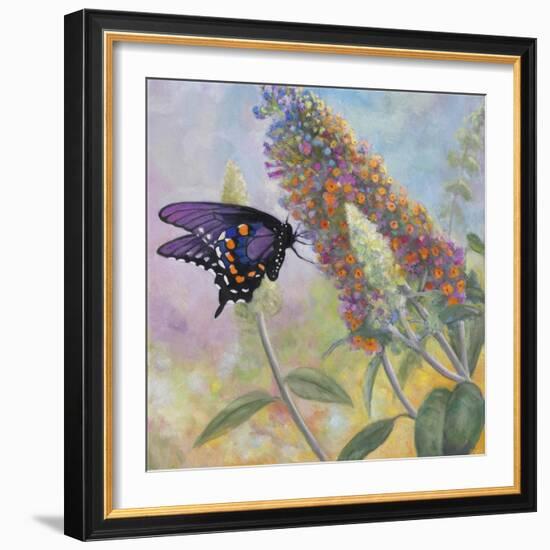 Admiral Butterfly-John Zaccheo-Framed Giclee Print