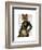 Admiral Fox Full-Fab Funky-Framed Art Print