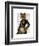 Admiral Fox Full-Fab Funky-Framed Art Print