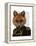 Admiral Fox Portrait-Fab Funky-Framed Stretched Canvas