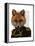 Admiral Fox Portrait-Fab Funky-Framed Stretched Canvas