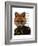 Admiral Fox Portrait-Fab Funky-Framed Premium Giclee Print