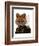 Admiral Fox Portrait-Fab Funky-Framed Art Print