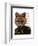 Admiral Fox Portrait-Fab Funky-Framed Art Print