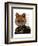 Admiral Fox Portrait-Fab Funky-Framed Art Print