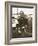 Admiral John A. Dahlgren-Mathew Brady-Framed Giclee Print