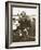 Admiral John A. Dahlgren-Mathew Brady-Framed Giclee Print