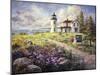 Admirality Head Lighthouse-Nicky Boehme-Mounted Giclee Print