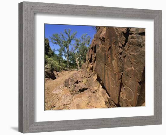 Adnjamathanha Aboriginal Engravings, Sacred Canyon, Flinders Range, South Australia, Australia-Neale Clarke-Framed Photographic Print