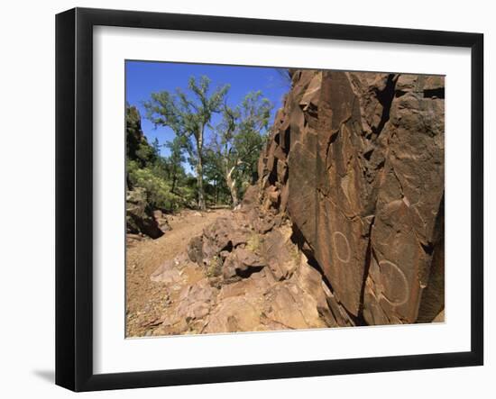 Adnjamathanha Aboriginal Engravings, Sacred Canyon, Flinders Range, South Australia, Australia-Neale Clarke-Framed Photographic Print