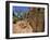 Adnjamathanha Aboriginal Engravings, Sacred Canyon, Flinders Range, South Australia, Australia-Neale Clarke-Framed Photographic Print