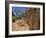 Adnjamathanha Aboriginal Engravings, Sacred Canyon, Flinders Range, South Australia, Australia-Neale Clarke-Framed Photographic Print