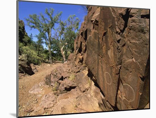 Adnjamathanha Aboriginal Engravings, Sacred Canyon, Flinders Range, South Australia, Australia-Neale Clarke-Mounted Photographic Print