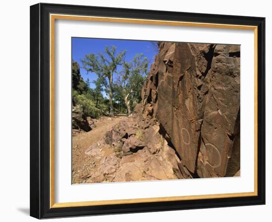 Adnjamathanha Aboriginal Engravings, Sacred Canyon, Flinders Range, South Australia, Australia-Neale Clarke-Framed Photographic Print