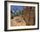 Adnjamathanha Aboriginal Engravings, Sacred Canyon, Flinders Range, South Australia, Australia-Neale Clarke-Framed Photographic Print