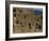 Adobe Buildings of Taos Pueblo, Dating from 1450, UNESCO World Heritage Site, New Mexico, USA-Woolfitt Adam-Framed Photographic Print