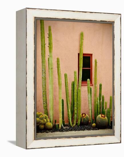 Adobe Cactus, 2015-null-Framed Premier Image Canvas