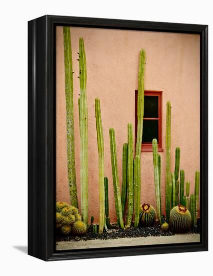 Adobe Cactus, 2015-null-Framed Premier Image Canvas