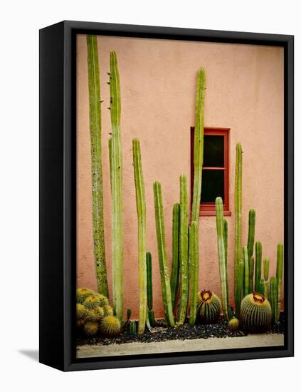Adobe Cactus, 2015-null-Framed Premier Image Canvas