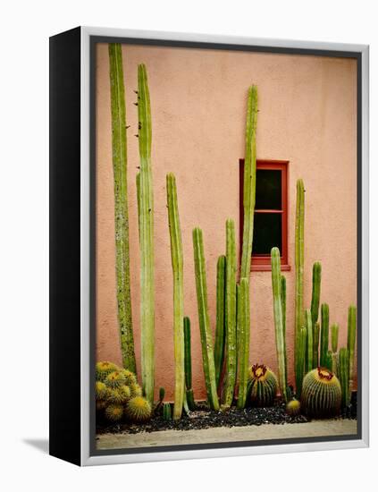 Adobe Cactus, 2015-null-Framed Premier Image Canvas