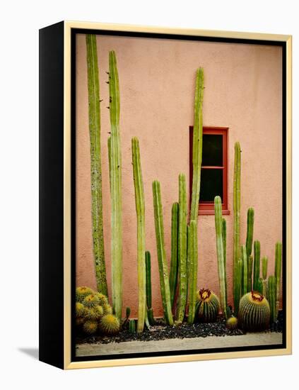 Adobe Cactus, 2015-null-Framed Premier Image Canvas