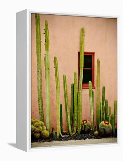 Adobe Cactus, 2015-null-Framed Premier Image Canvas