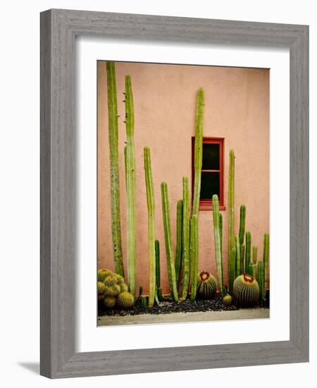 Adobe Cactus, 2015-null-Framed Photographic Print